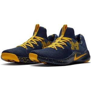 Nike Free TR 8 University of Michigan AR0419 400